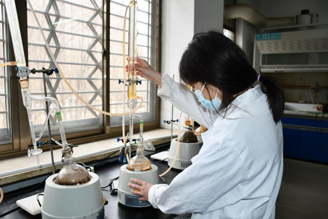 一年之計在于春，青春奮斗正當時——醫養健康集團