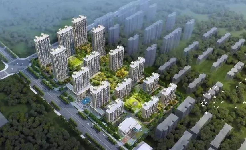 【項(xiàng)目負(fù)責(zé)人說】葉書莊：勇毅前行 精益求精