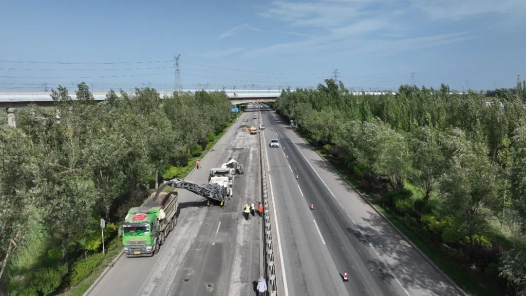 【項目負責人說】楊法衛：實干篤定 擔當如鐵